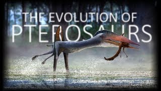 The Evolution of Pterosaurs [upl. by Donoghue380]