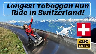 Longest Summer Toboggan Ride in Switzerland  4K Video [upl. by Katee]