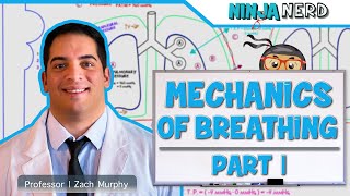 Respiratory  Mechanics of Breathing Pressure Changes  Part 1 [upl. by Yggep]