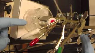 cyclic voltammetry experiment [upl. by Pubilis49]