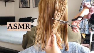 ASMR Haircut amp Hair Brushing To Help U Sleep Hair Play Spraying amp Scissor Sounds No Talking [upl. by Jaenicke]