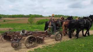 Amish farming  6horse power plow [upl. by Suiravat]