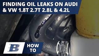 How To Find Locate Audi Oil Leaks and VW Oil Leaks [upl. by Nosyk]