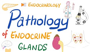 Pathology Basics of Endocrinology [upl. by Anizor515]