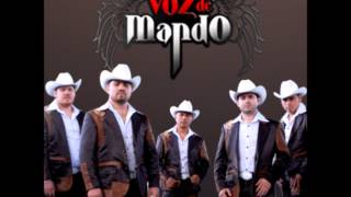 Grupo Voz De Mando  Corridos Alterados MixHD [upl. by Vikky245]