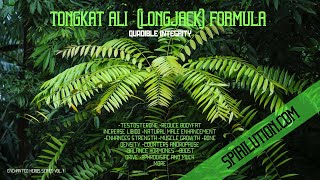 Healing Music★Tongkat Ali  Longjack Formula★Testosterone  Natural Male Enhancement Aphrodisiac [upl. by Anema]