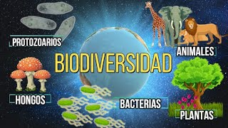 ¿QUÉ ES LA BIODIVERSIDAD [upl. by Whitehurst]