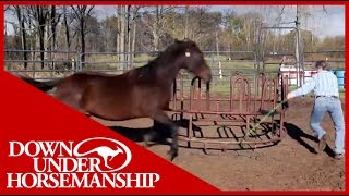 Clinton Anderson Presents Running Scared Training An Aggressive Horse [upl. by Amhsirak]