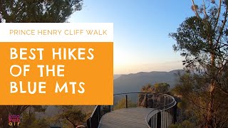 ULTIMATE BLUE MOUNTAIN SYDNEY Day Trip Travel Guide  How to Travel Blue Mountains Australia [upl. by Akinak]