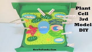 PLANT CELL model project using cardboard for science exhibition  3d  DIY at home  howtofunda [upl. by Roath]