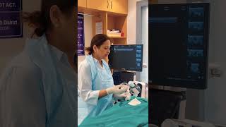 Thyroid Nodule FNAC StepbyStep Procedure by Dr Parul Garg [upl. by Marilyn]