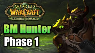 WoW TBC Classic BM Hunter PVE Guide Phase 1 [upl. by Jilleen296]