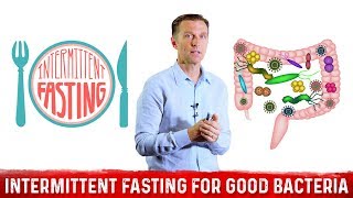 Supercharge Your Gut Bacteria with Intermittent Fasting – Dr Berg [upl. by Sells]