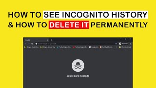 How to see Google Chrome incognito history amp how to delete it [upl. by Castillo815]