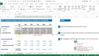 Fill Formatting in Excel [upl. by Muriah]