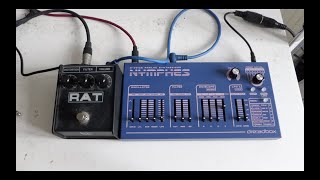 Dreadbox Nymphes amp ProCo Rat [upl. by Jere562]