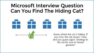 How To Solve The Hiding Cat Puzzle  Microsoft Interview Riddle [upl. by Kcirttap]