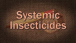 Systemic Insecticides  Family Plot [upl. by Elockcin154]