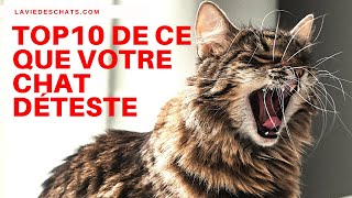 Le Top10 de ce que votre chat déteste 🐱 [upl. by Annasoh]