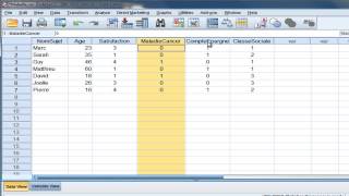 SPSS tutoriel Les types de variables [upl. by Yann]