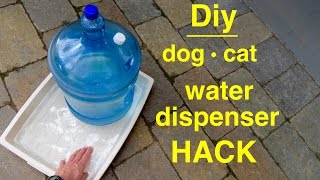 How to make ● DOG  CAT ● Large Selffilling Water Dispenser [upl. by Ojybbob310]