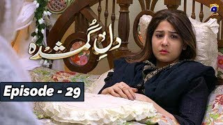 DileGumshuda  EP 29  7th Nov 2019  HAR PAL GEO DRAMAS [upl. by Sherourd848]