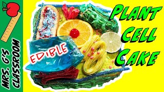 How to Make an Edible Plant Cell Model StepbyStep [upl. by Amahs]