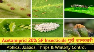 Acetamiprid 20 SP Insecticide full information  DosePrice insect Control [upl. by Laehcim251]