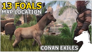 13 Foals Map Locations  CONAN EXILES [upl. by Esiocnarf]