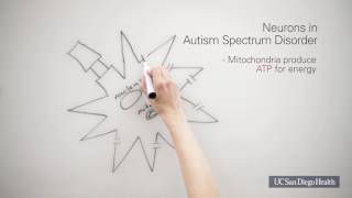 Autism Spectrum Disorder The Cell Danger Response [upl. by Blas620]