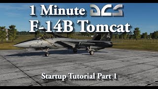 1 Minute DCS  F14B Tomcat  Startup Tutorial Part 1 [upl. by Alia]