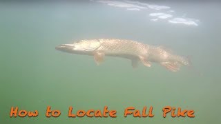 How to Locate Fall PikeFishing Tactics [upl. by Rehtae]